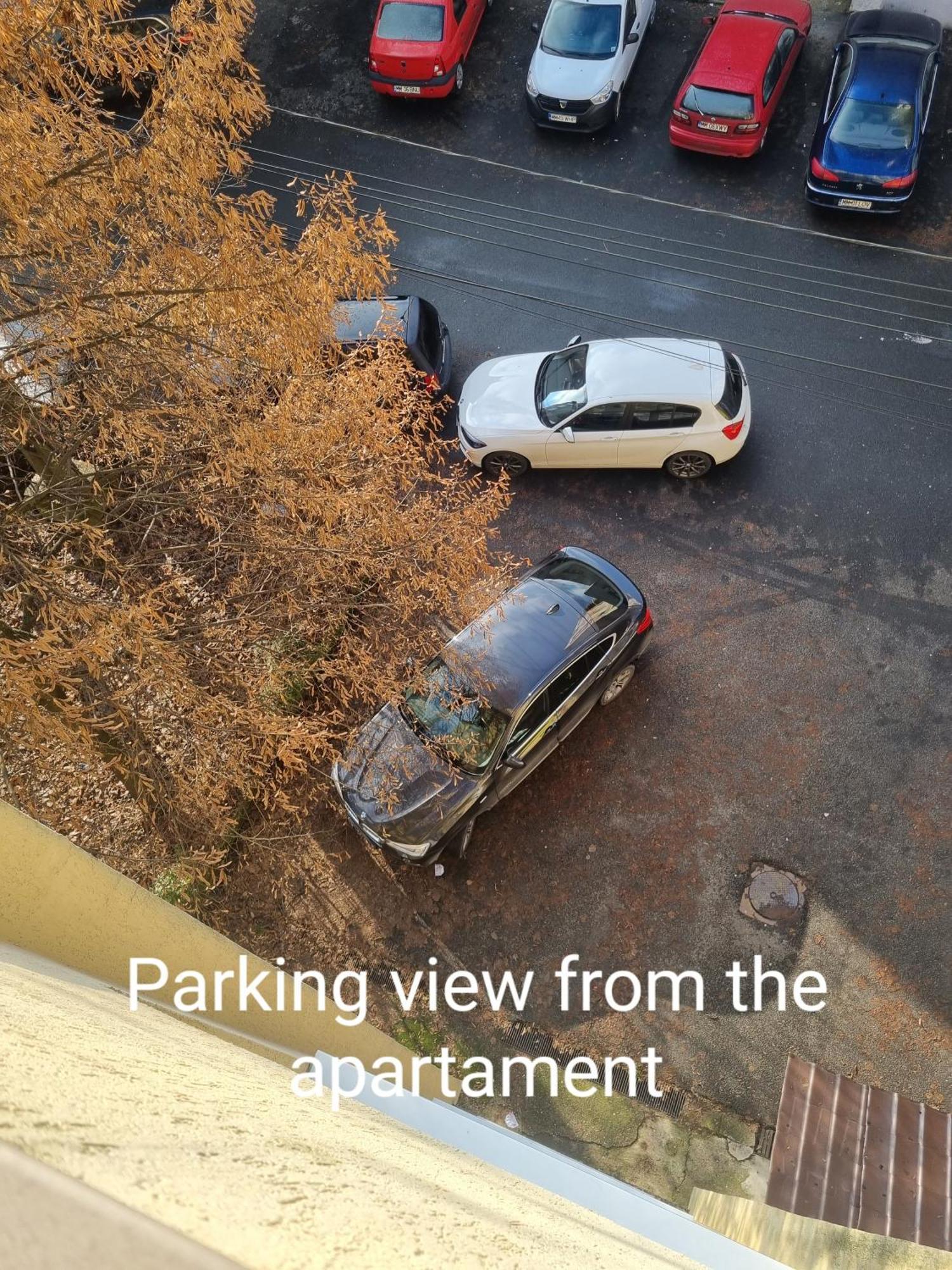 Nice & Relaxing Central Apartment บายามาเร ภายนอก รูปภาพ
